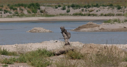 SU KITLIĞINA YAPAY ZEKALI ÖNLEM