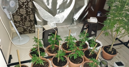 UYUŞTURUCU İMAL EDİLEN EVE BASKIN: 1 TUTUKLAMA