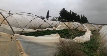 ŞİDDETLİ YAĞMUR VE FIRTINA ÇİLEK SERALARINA ZARAR VERDİ