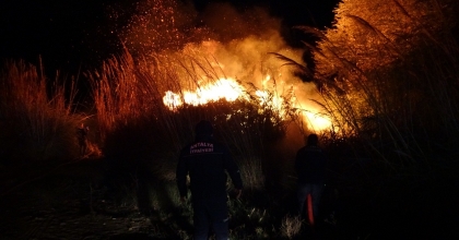 SAZLIK ALANDA YANGIN