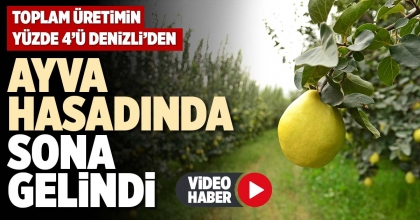 AYVA HASADINDA SONA GELİNDİ