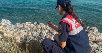 BU BİTKİYİ KOPARMANIN CEZASI 245 BİN TL