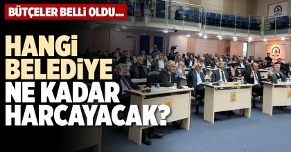 HANGİ BELEDİYE NE KADAR HARCAYACAK?