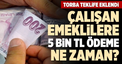 ÇALIŞAN EMEKLİLERE 5 BİN TL ÖDEME NE ZAMAN?