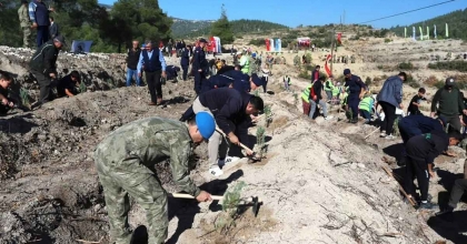 DENİZLİ’DE BİNLERCE FİDAN TOPRAKLA BULUŞTU