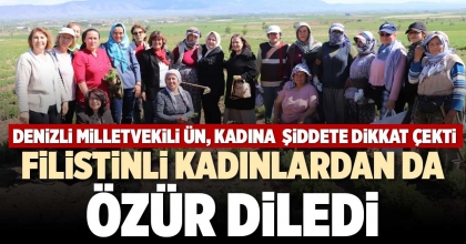 DENİZLİ MİLLETVEKİLİ ÜN, KADINA  ŞİDDETE DİKKAT ÇEKTİ