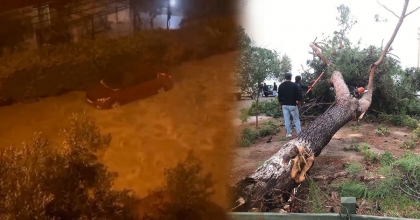 DİDİM’İ ŞİDDETLİ YAĞIŞ VURDU