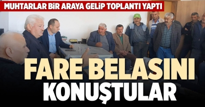 FARE BELASINI KONUŞTULAR