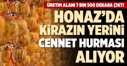 HONAZ’DA KİRAZIN YERİNİ CENNET HURMASI ALIYOR
