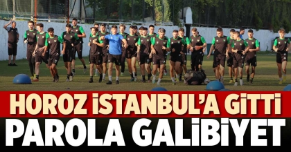 HOROZ İSTANBUL’A GİTTİ
