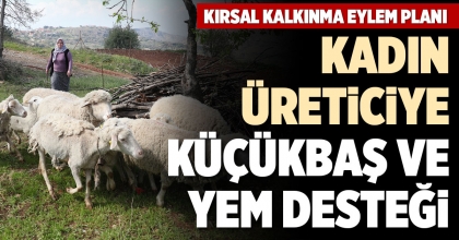 KADIN ÜRETİCİYE KÜÇÜKBAŞ VE YEM DESTEĞİ