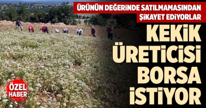 KEKİK ÜRETİCİSİ BORSA İSTİYOR