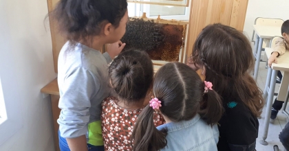 KIRKAĞAÇLI ÖĞRENCİLER ARILARIN DÜNYASINI KEŞFETTİ