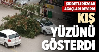  KIŞ YÜZÜNÜ GÖSTERDİ