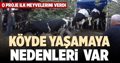 KÖYDE YAŞAMAYA NEDENLERİ VAR