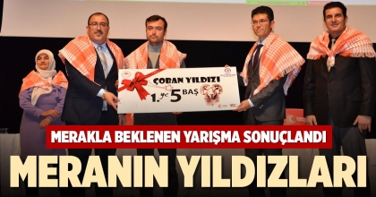 MERANIN YILDIZLARI
