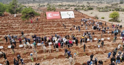 MUĞLA’DA 79 NOKTADA 62 BİN 236 FİDAN DİKİMİ GERÇEKLEŞTİRİLDİ  
