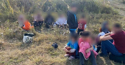 PAMUK TARLASINA GİZLENMİŞ DÜZENSİZ GÖÇMENLER YAKALANDI  