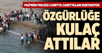 PAÜ’NÜN PROJESİ CARETTA CARETTALARI KURTARIYOR