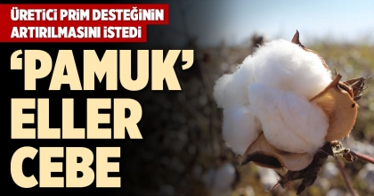 ÜRETİCİ PRİM DESTEĞİNİN ARTIRILMASINI İSTEDİ