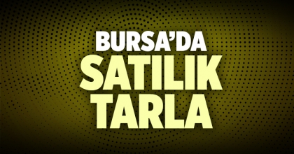 Satılık Tarla Bursa İlanı
