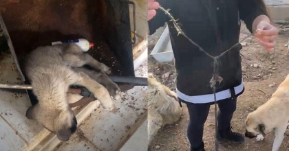 AFYONKARAHİSAR'DA İNFİAL GÖRÜNTÜLER