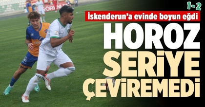 HOROZ SERİYE ÇEVİREMEDİ