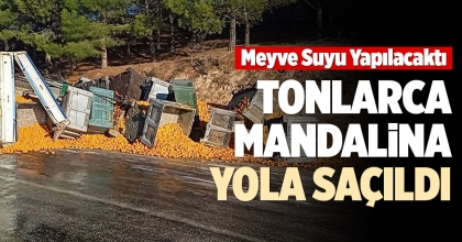 TONLARCA MANDALİNA YOLA SAÇILDI