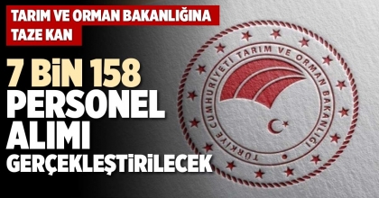 7 BİN 158 PERSONEL ALIMI GERÇEKLEŞTİRİLECEK