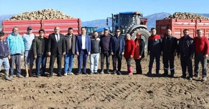 ACIPAYAM'DA PANCAR HASADI BAŞLADI