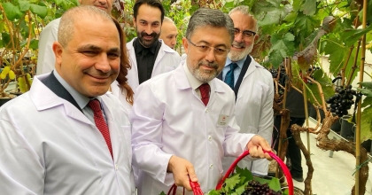 ALAŞEHİRLİ ÜZÜM ÜRETİCİLERİNE MÜJDE