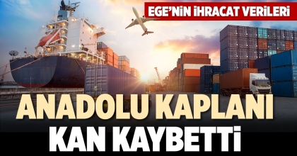 ANADOLU KAPLANI KAN KAYBETTİ