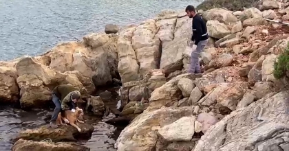DENİZE DÜŞEN KÖPEK KURTARILDI