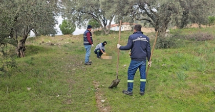 ONLARCA KÖPEK TELEF OLMUŞ VAZİYETTE BULUNDU