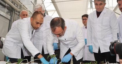 JEOTERMAL KAYNAKLI TEKNOLOJİK SERA'DA İLK FİDELER DİKİLDİ