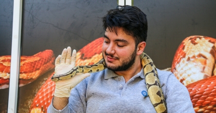 KRAL PİTONU BOYNUNA DOLAYIP SEVİYOR