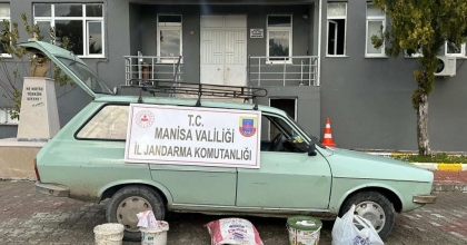 ZEYTİN HIRSIZLARI SUÇ ÜSTÜ YAKALANDI