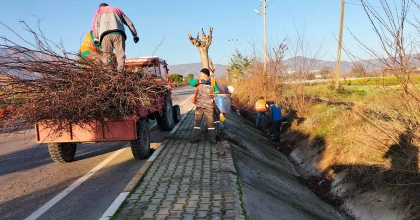 BULVARLAR TEMİZLENDİ, AĞAÇLAR BUDANDI