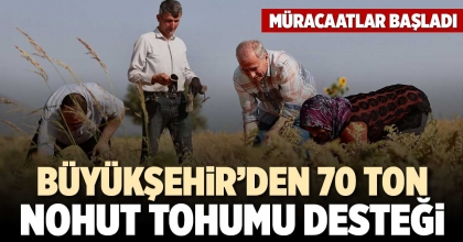 BÜYÜKŞEHİR’DEN 70 TON NOHUT TOHUMU DESTEĞİ