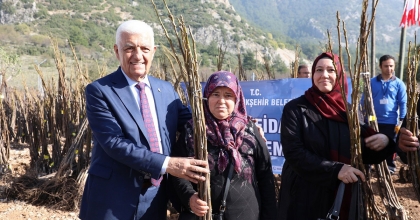 BÜYÜKŞEHİR’DEN ÜRETİCİLERE 151 BİN 780 FİDAN DESTEĞİ