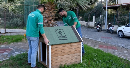 CAN DOSTLARIN YUVALARI KIŞA HAZIR