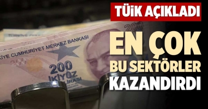 EN ÇOK BU SEKTÖRLER KAZANDIRDI
