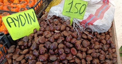 KIŞ MEVSİMİNİN VAZGEÇİLMEZİ KESTANE TEZGAHLARDAKİ YERİNİ ALDI