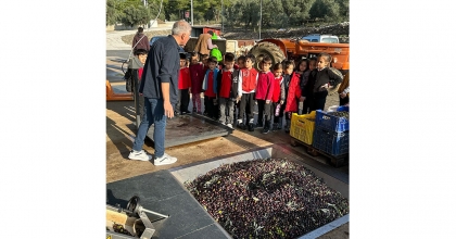 KÖYCEĞİZ’DE ÖĞRENCİLER ZEYTİNDEN YAĞ ÇIKARILMASINI GÖRDÜ