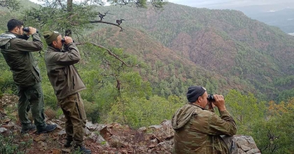 KÖYCEĞİZ’DE YABAN KEÇİLERİNİN TESPİTİ YAPILDI  