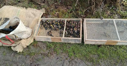 MANİSA'DA KAÇAK SAKA AVLAYAN KİŞİYE 169 BİN LİRA CEZA