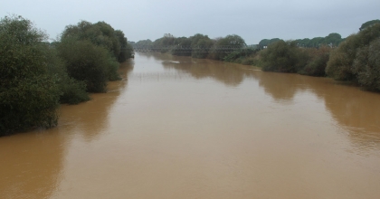 MENDERES NEHRİ'NDEKİ SU SEVİYESİ ESKİ HALİNE GERİ DÖNDÜ