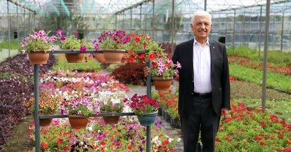 MUĞLA’NIN ÇİÇEKLERİ 8 İLİN CADDE VE SOKAKLARINI SÜSLÜYOR