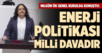 NİLGÜN ÖK GENEL KURULDA KONUŞTU:  ENERJİ POLİTİKASI MİLLİ DAVADIR
