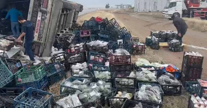 SEBZE VE MEYVE YÜKLÜ TIR DEVRİLDİ  